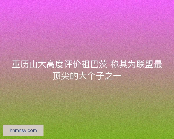 亚历山大高度评价祖巴茨 称其为联盟最顶尖的大个子之一